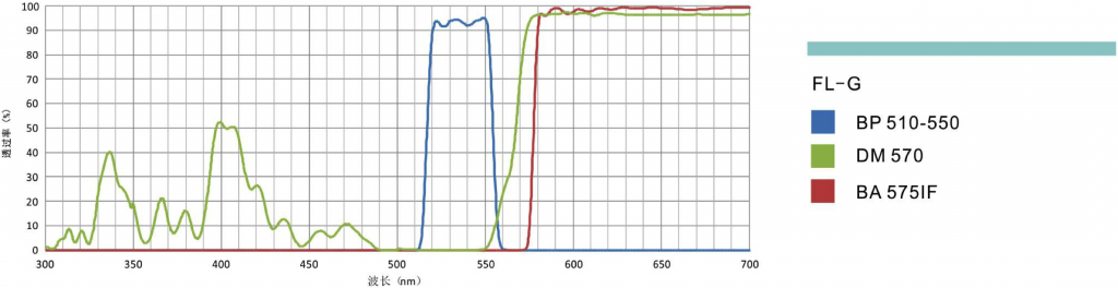熒光濾光鏡組